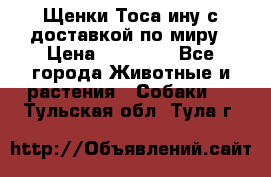 Щенки Тоса-ину с доставкой по миру › Цена ­ 68 000 - Все города Животные и растения » Собаки   . Тульская обл.,Тула г.
